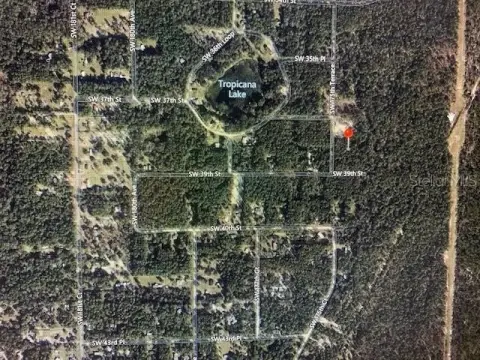 Dunnellon Buildable Land Parcel