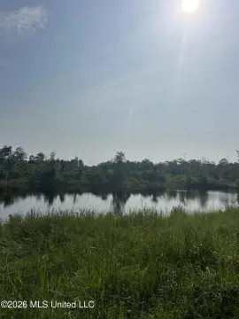 Recreational Hunting Land with Pond