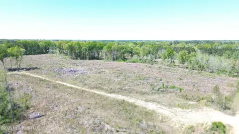 Flat Acreage with Blacktop Access