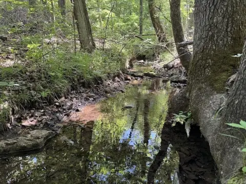 Ozark Tract: Hunting & Homestead