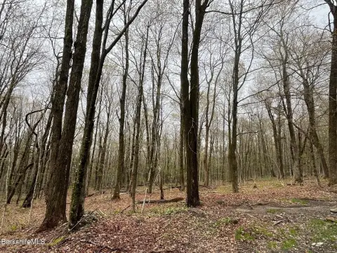 Residential Development Land with Stream