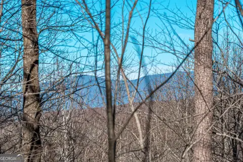 Ellijay Land in Gated Community