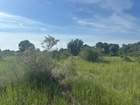 Okeechobee Land For Sale