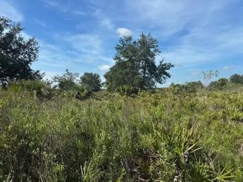 Okeechobee Land For Sale