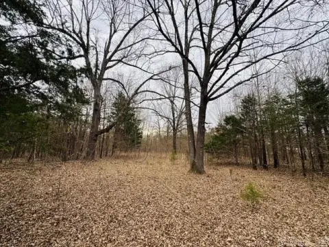 Residential Lot Near Mountain Home