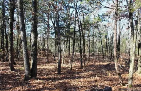 Flippin, AR Hunting Land