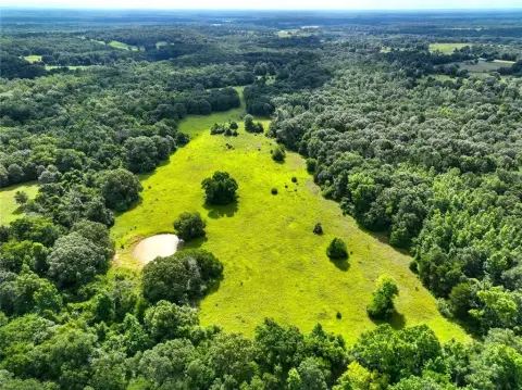 54.12 Acres in Butler, TX