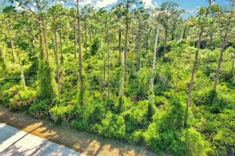 Lehigh Acres Residential Land