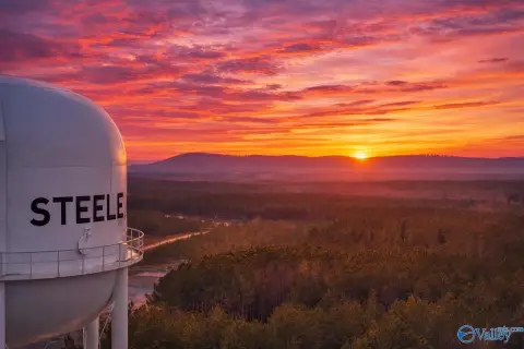 Versatile Land in Steele, AL