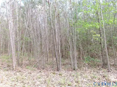 Land For Sale in Dewitt