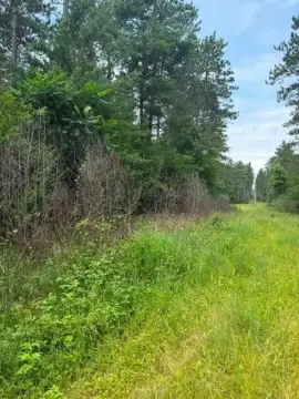 Wooded Hunting Land with Creek Frontage