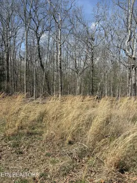 Residential Lot in Ottawa Subdivision