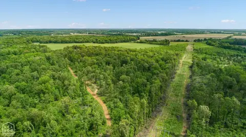 80 Acres on Crowley's Ridge