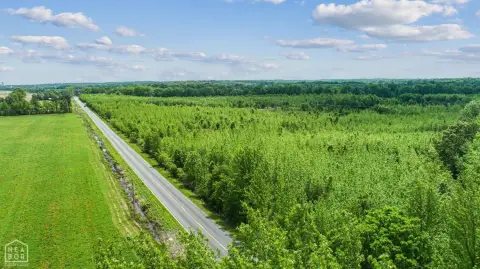 Jonesboro Acreage on Paved Road