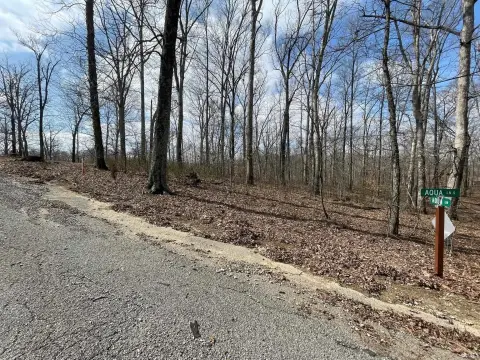Wooded Lot in Lake Helmerich