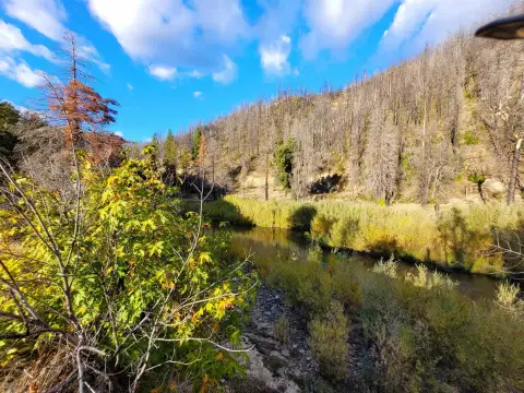 66 Acres of Land in Paxton