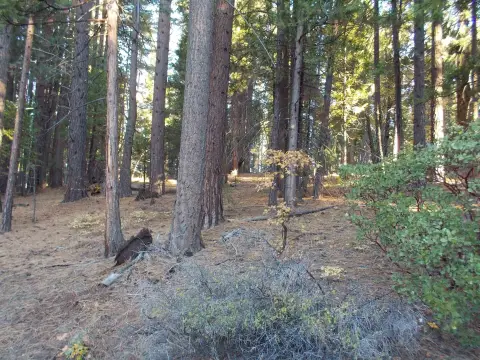 Land in Quincy, California