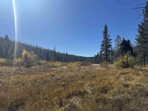 Plumas National Forest Land