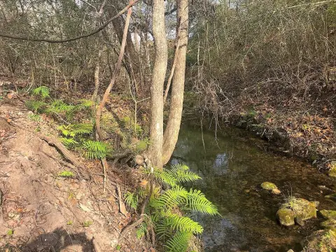 26 Acres Recreational/Residential Land