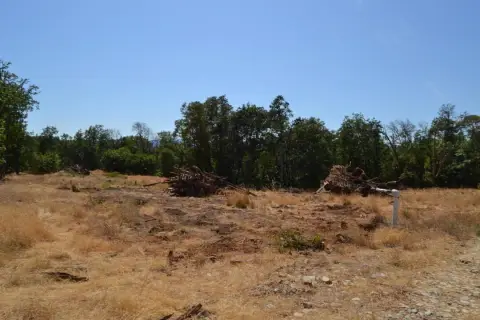 Land Parcel Near Merlin