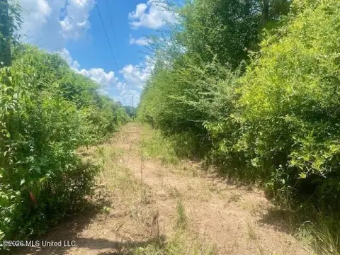 Recreational Hunting Land with Wooded Acreage