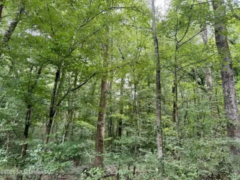 Recreation Land with Creek