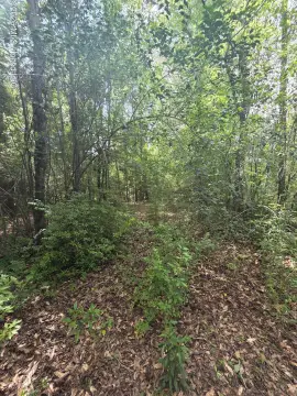 Magnolia, MS Land Opportunity