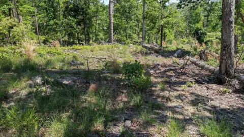 Hot Springs Village Wooded Lot