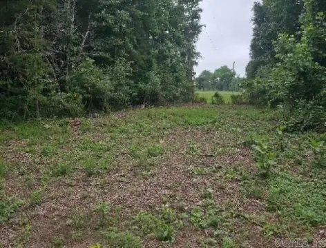 15 Acres Hunting Land, Batesville