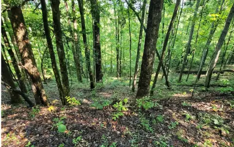 Lake Access Lot in Hayesville