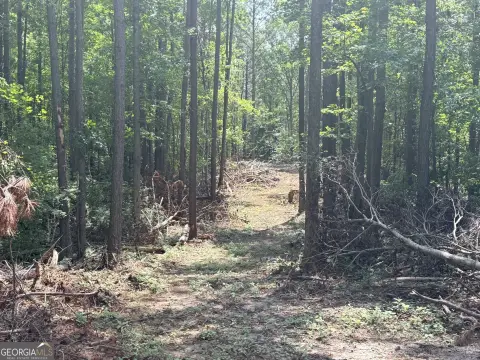 Wooded 5-Acre Residential Lot