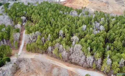 Residential Land in Piedmont, AL