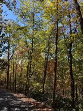 Gatlinburg Lot in Arts Community