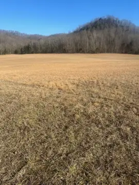 Kentucky Vacant Land Opportunity