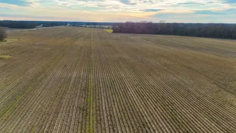 Irrigated Farmland with Road Frontage