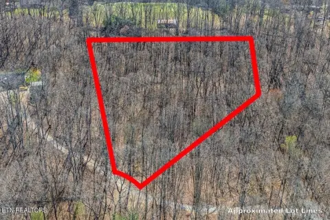 Secluded Wooded Lot Near Lake