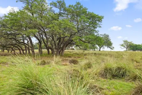 Picturesque Land Near Wine Trail