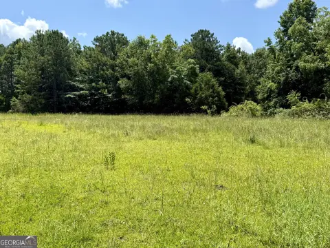 Residential Land in Locust Grove