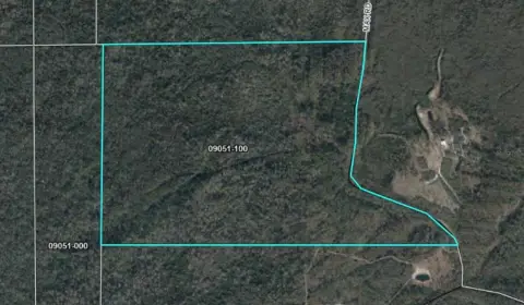 Secluded Timberland for Hunting, Recreation