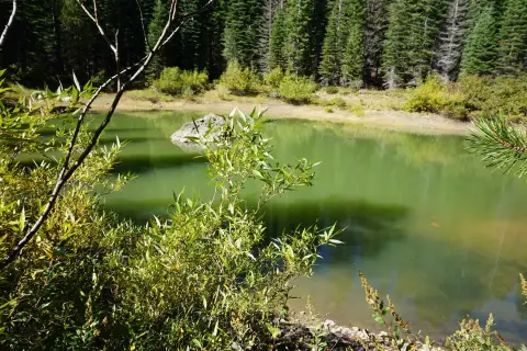 Bucks Lake Land For Sale