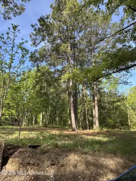 Land For Sale in Gloster