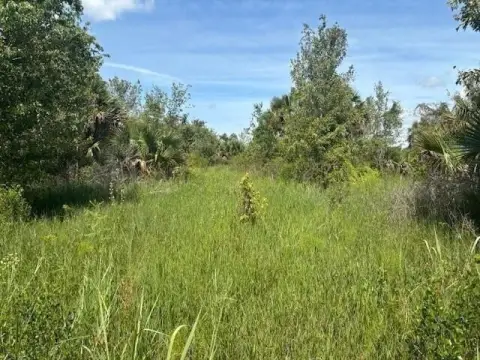 Okeechobee Land For Sale