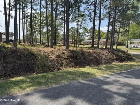 Spacious Corner Lot, No HOA
