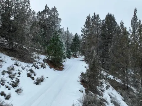 Hunting Land with Creek