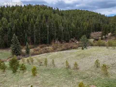Land with Year-Round Stream