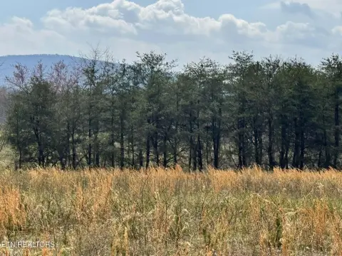 Crossville Land with Mountain View