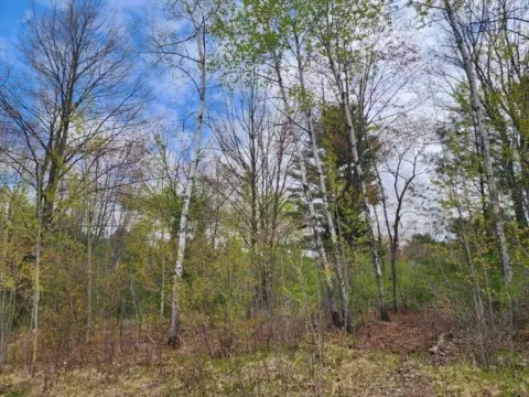 Residential Lot in Wausau, WI