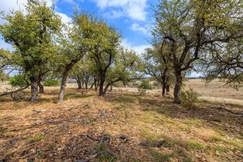 Texas Hill Country Homesite