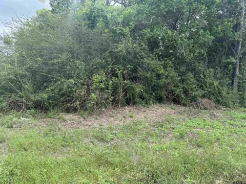Wooded Recreational Land