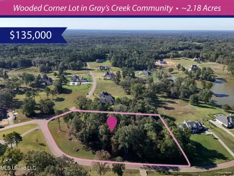 Elevated Wooded Lot in Hernando